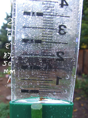 2014-02-27-rainguage