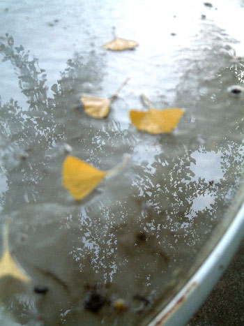 雨に濡れたテーブル