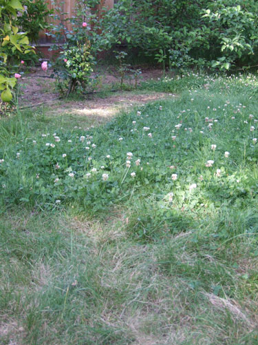 2012_05_07-lawn2