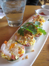2010_03_25_springrollsi