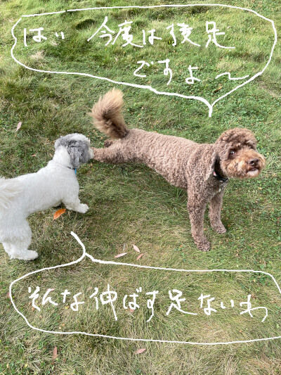 2024-08-16-charliekoko1
