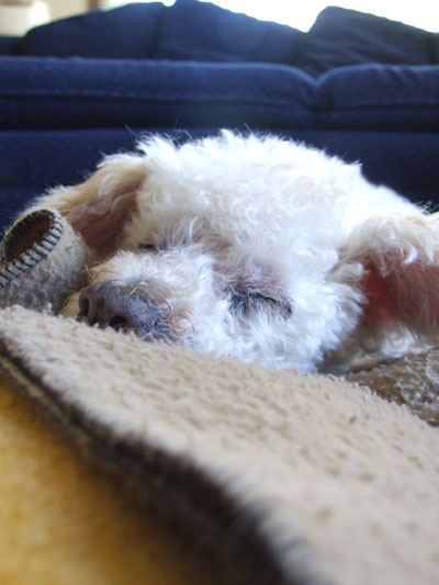 2015-10-22-chibinap3