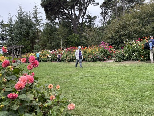 2025-08-30-botanicalgarden (3)