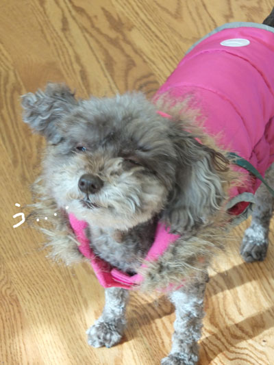 2019-12-26-judy2