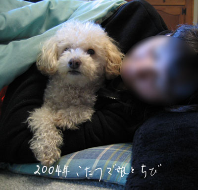 2020-03-06-chibi1
