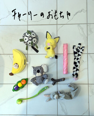 2024-08-26-toys2