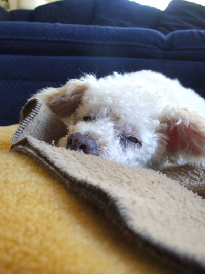 2015-10-22-chibinap2