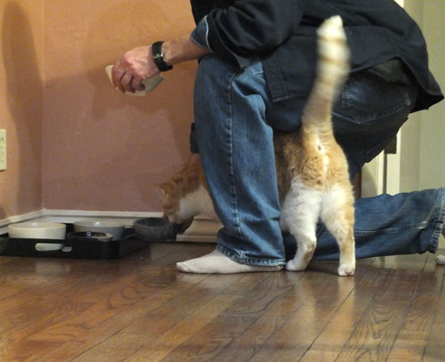 2017-12-27-cat4