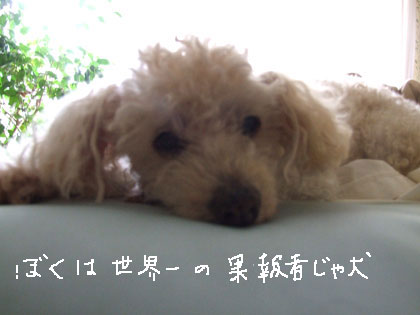 2012_06_06-chibi