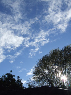 2014-01-29-raingage6