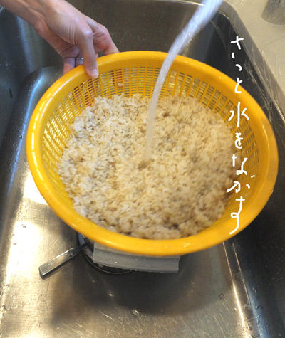 2019-08-17-brownrice4