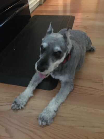 2021-06-27-reggie