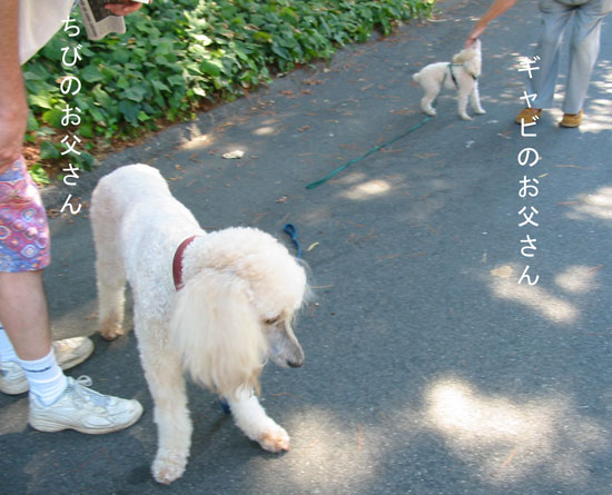 2017-11-16-chibi8