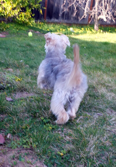 2021-04-13-rasta1