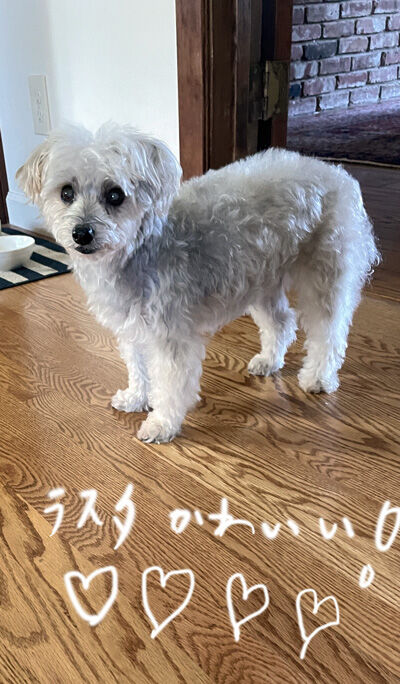2022-10-18-rasta3