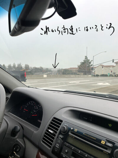 2024-02-12-sweetmaple4