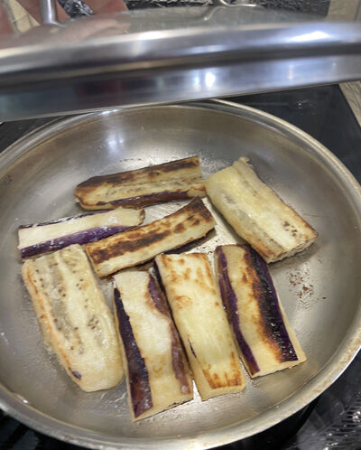 2023-02-21-eggplant5