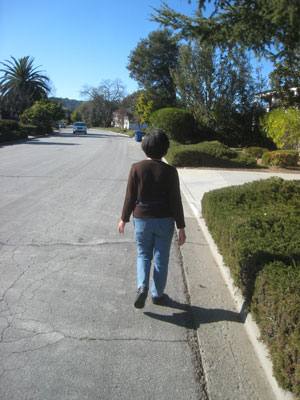 2013-02-08-walk2