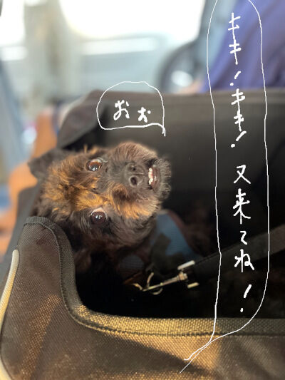 2024-10-14-kiki1