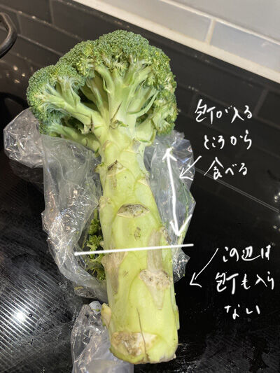 2023-11-26-broccolii4