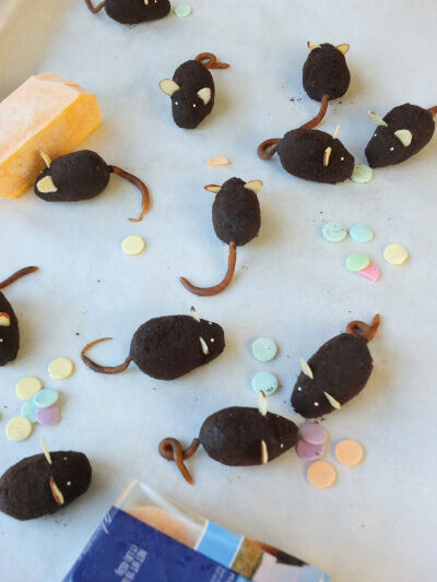 2024-10-28-micecookies3