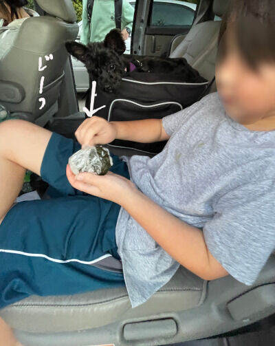 2025-01-07-riceball1