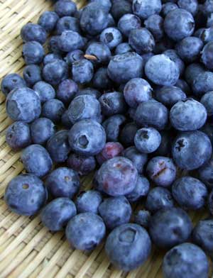 2015-05-08-blueberries