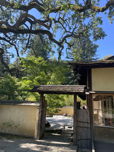 2024-05-06-hakone4