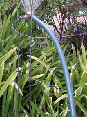 2013-10-06-tomatopole2