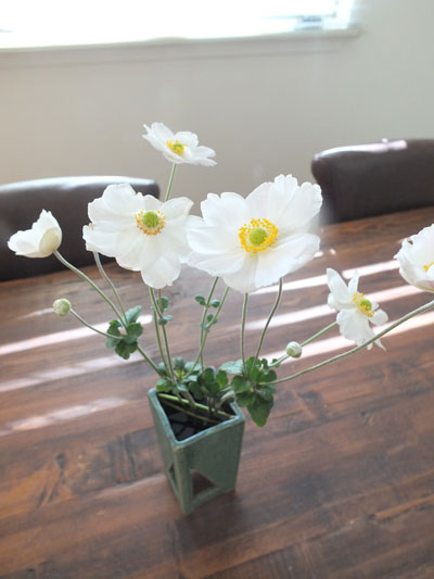 2019-12-10-anemone