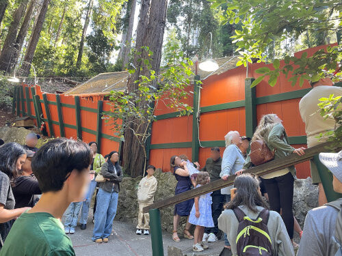 2025-07-24-mysteryspot3