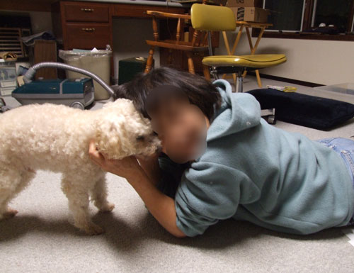 2018-01-12-chibi2