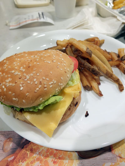 2017-01-27-humberger