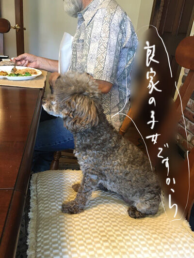 2021-08-29-judy2