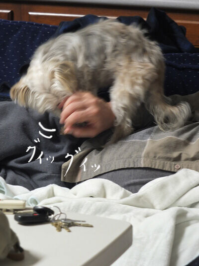 2021-05-12-rasta3
