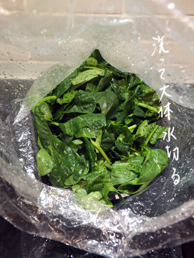 2021-02-04-spinach2