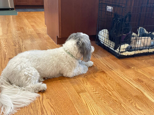 2026-07-19-charlieoreo2