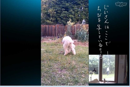 2014-03-29-skype3