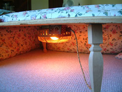 kotatsu1