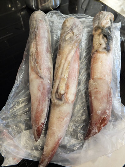 2018-12-14-squid