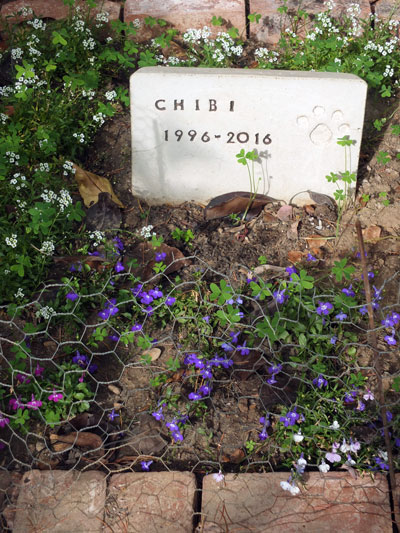 2017-11-05-chibihouse2