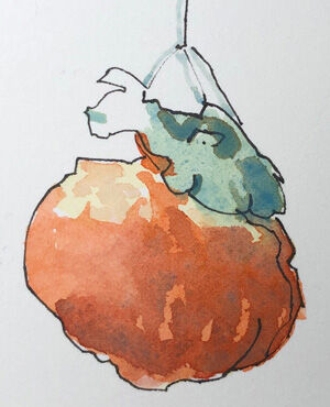 2023-11-12-persimon7