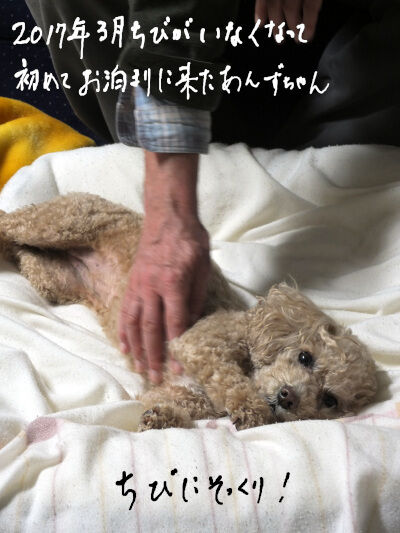 2024-08-29-anzu1