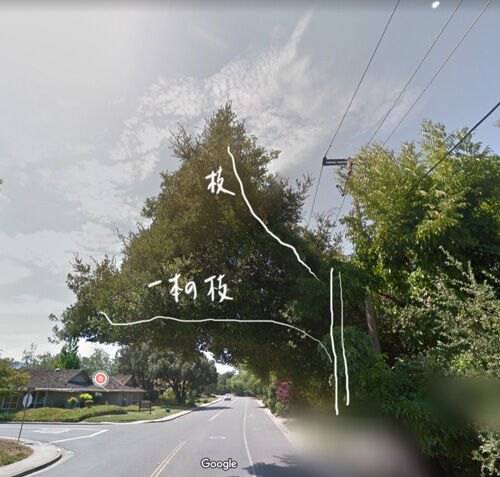 2023-03-21-tree1