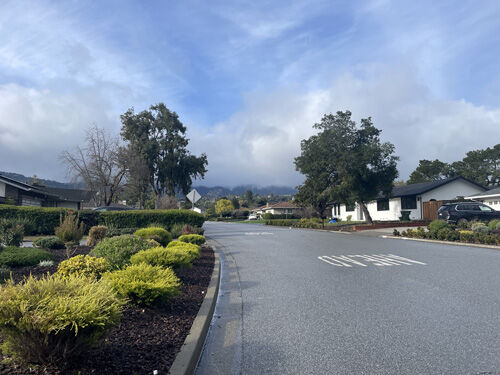 2024-03-10-walk4
