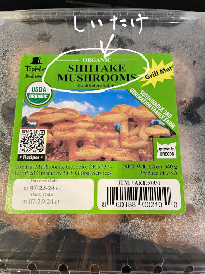 2024-08-16-shiitake2