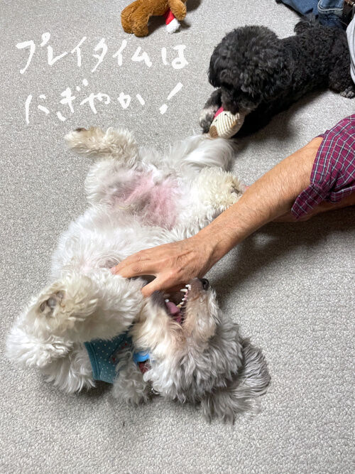 2026-01-14-charlieoreo1