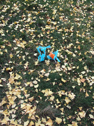 2016-11-07-poostick2