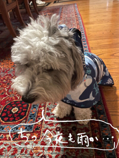 2026-02-18-charlie