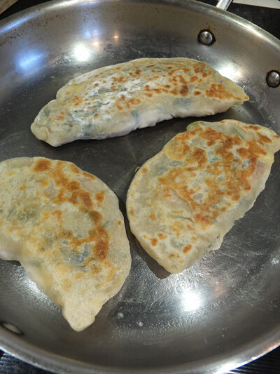 2024-06-19-veggiepocket5